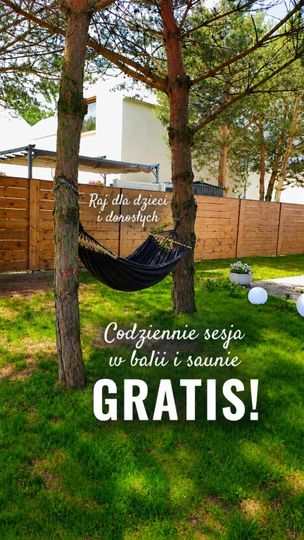 Zdjęcie podglądowe 1