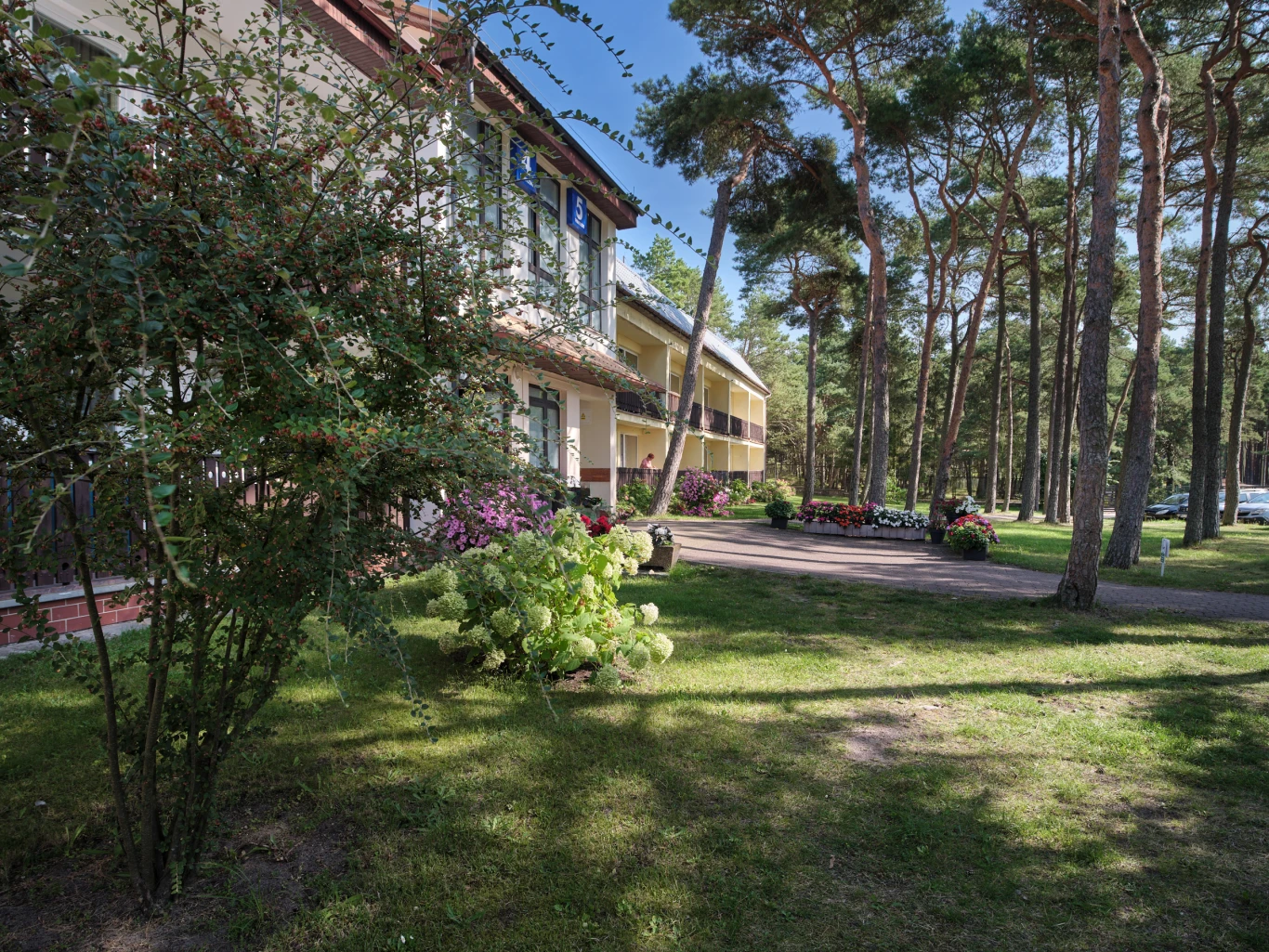 Image 12
