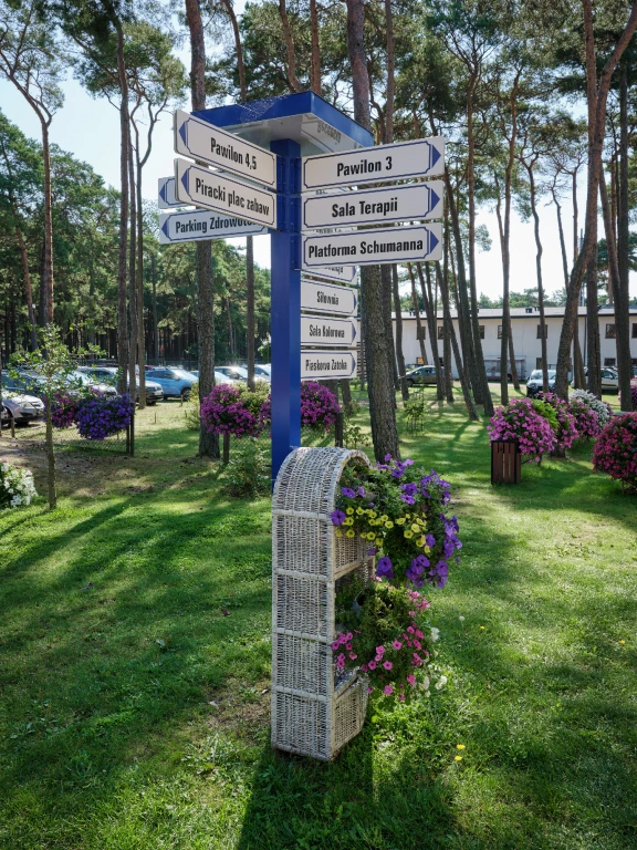 Image 13