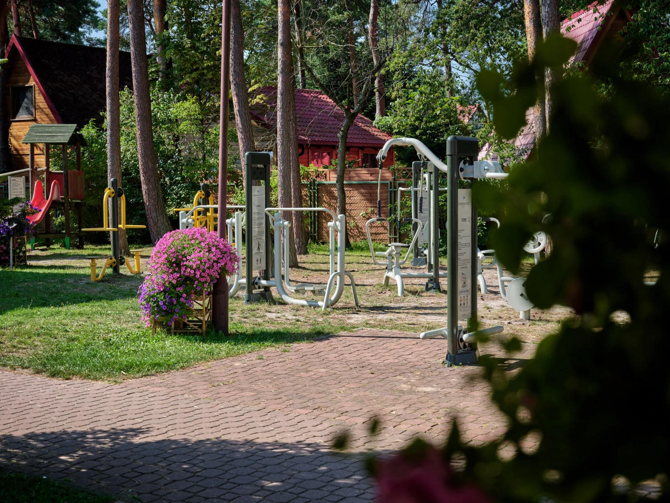 Image 10