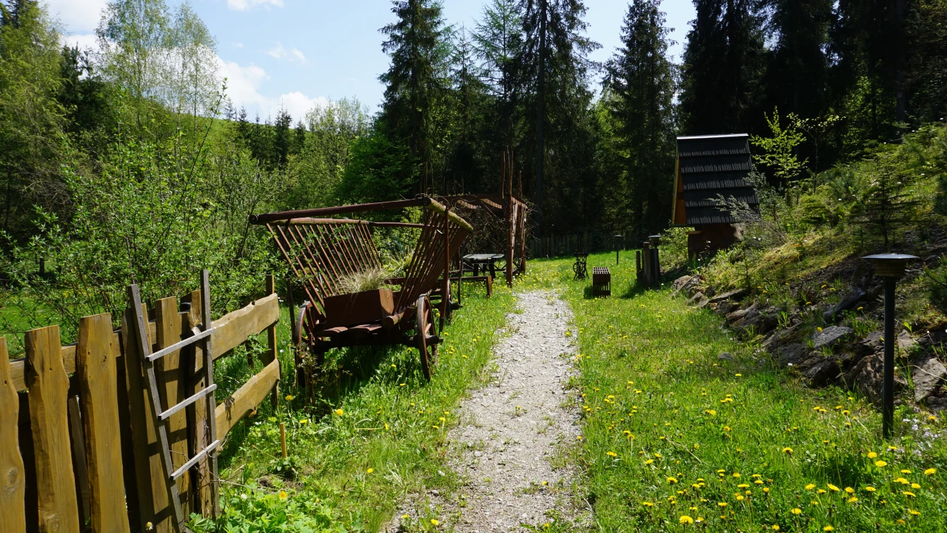 Image 11