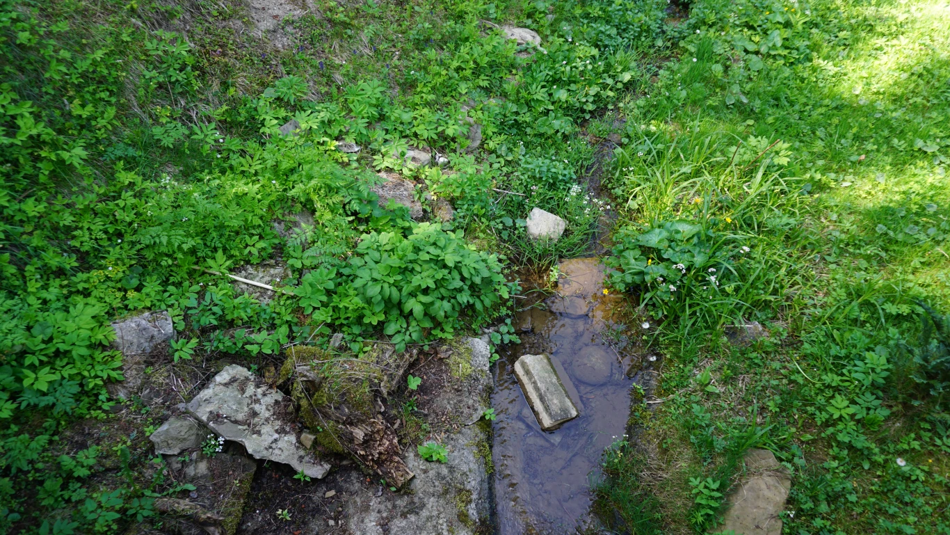 Image 49
