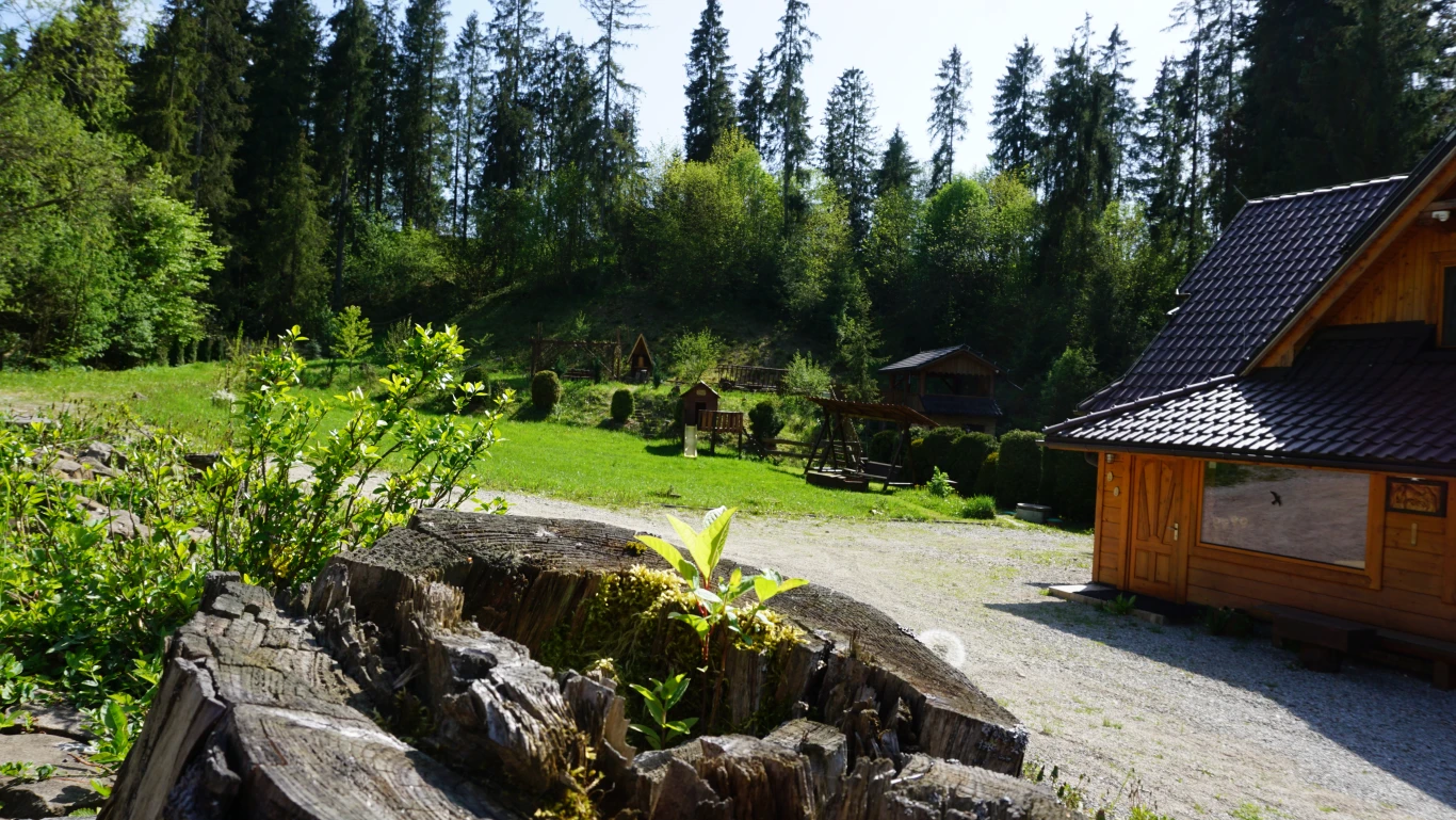 Image 12