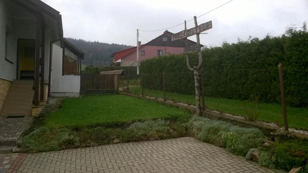 Image 19