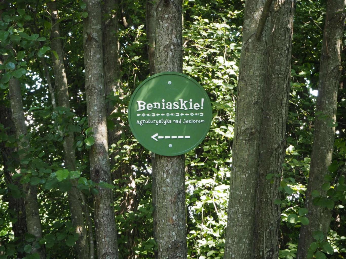Image 19