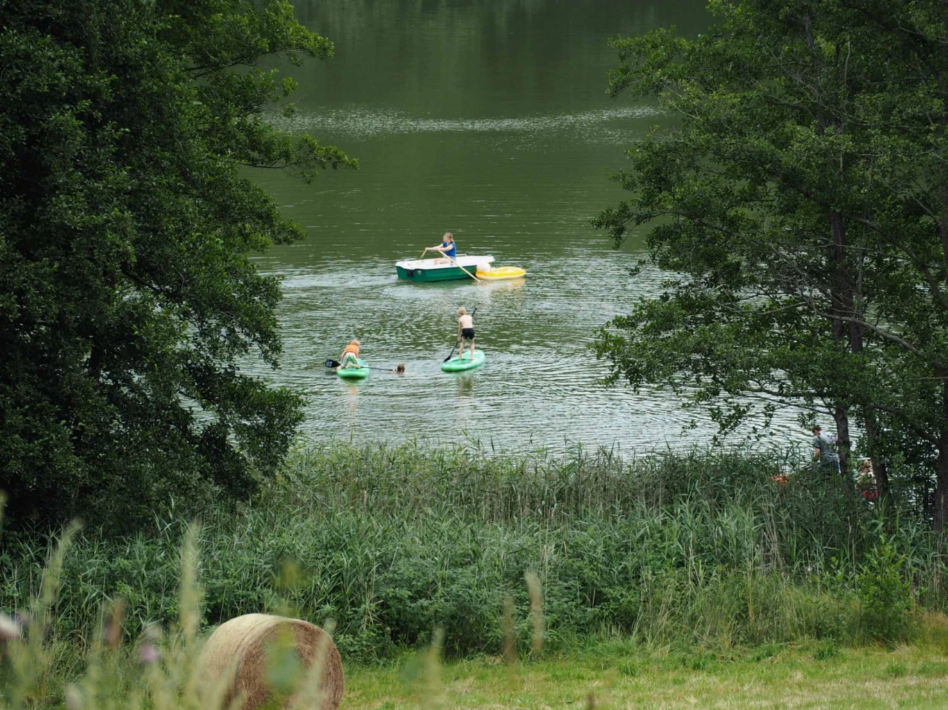 Image 5