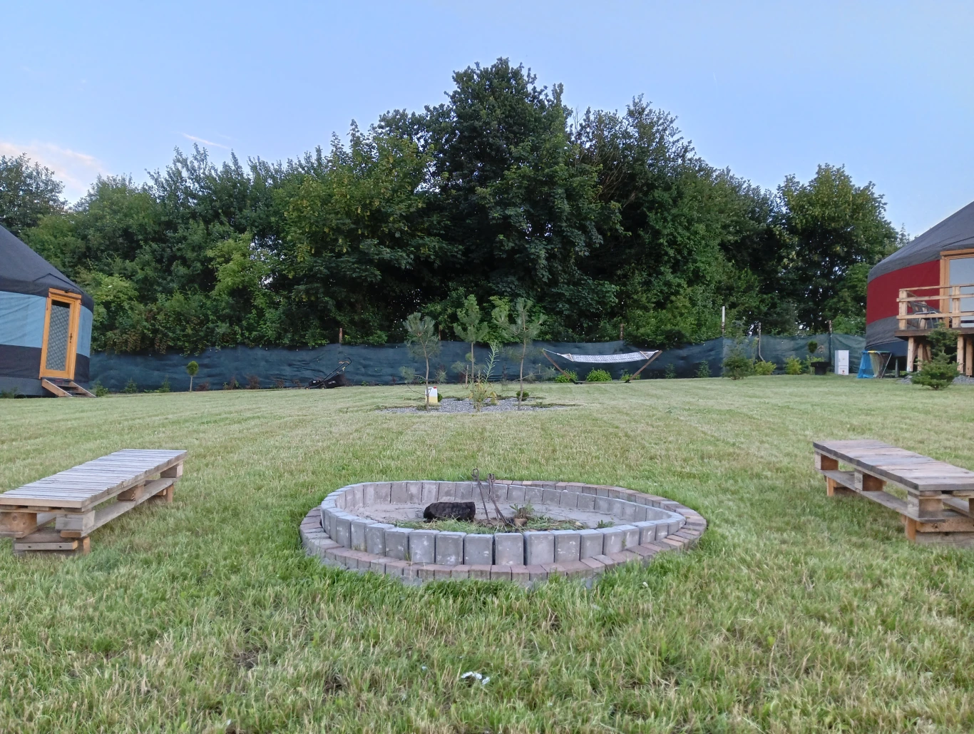 Image 49