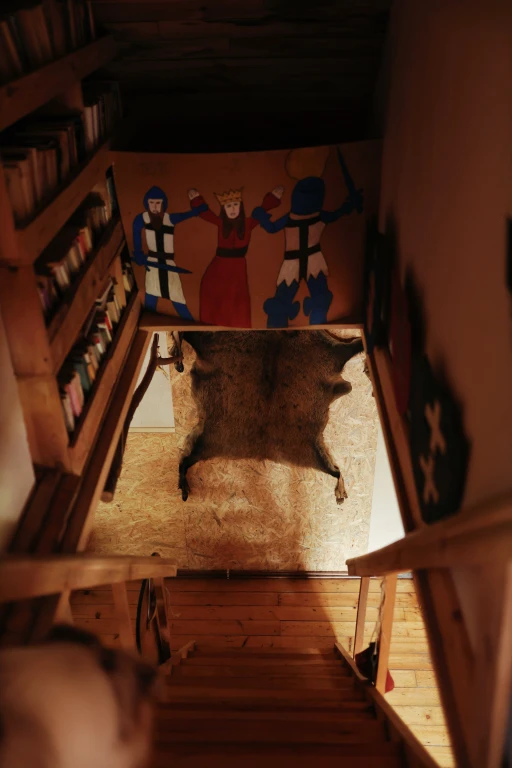 Image 8