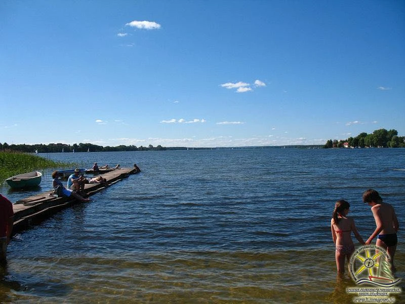 Image 15